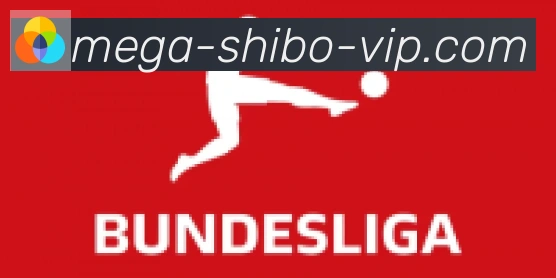 世博体育官网合作伙伴